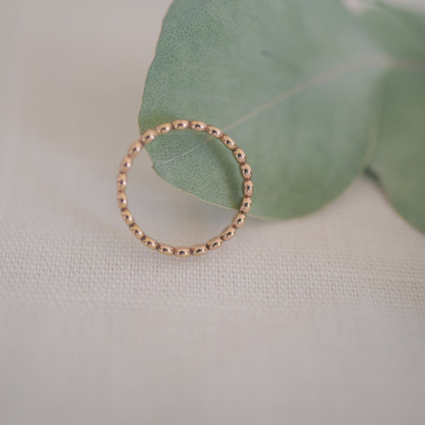 
                  
                    Thick Dot Ring
                  
                
