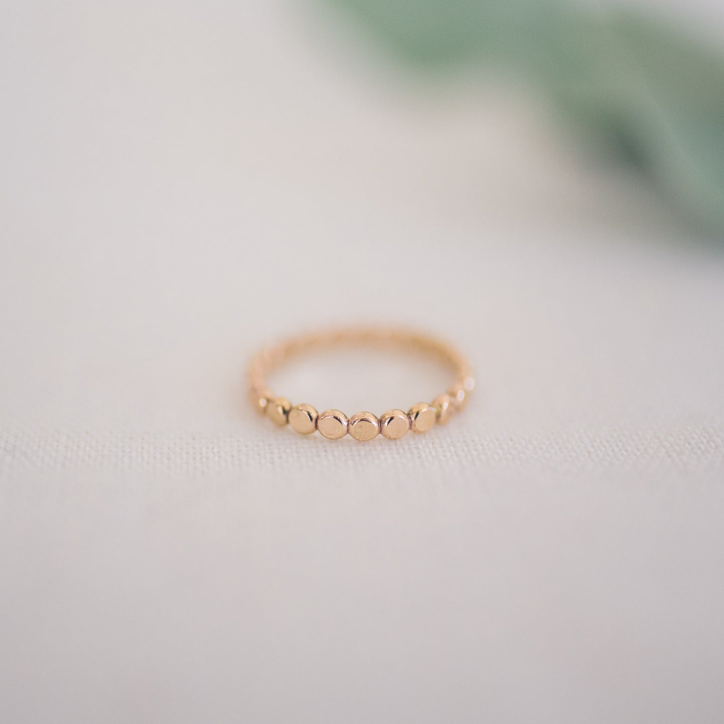 
                  
                    Thick Dot Ring
                  
                
